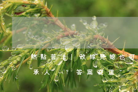 熱點普法 | 改嫁兒媳也可以作為第一順序繼承人？答案在這！